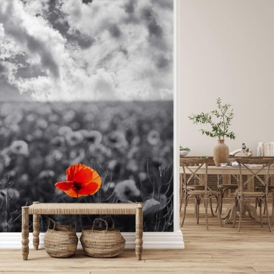 Fototapeta Czerwone kwiaty maku na Dzień Pamięci
