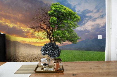 Fototapeta Drzewo jako koncepcja zmiany klimatu i globalnego ocieplenia