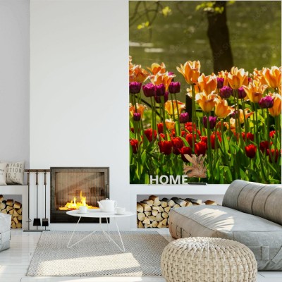 Fototapeta Festiwal tulipanów w Petersburgu na wyspie Elagin