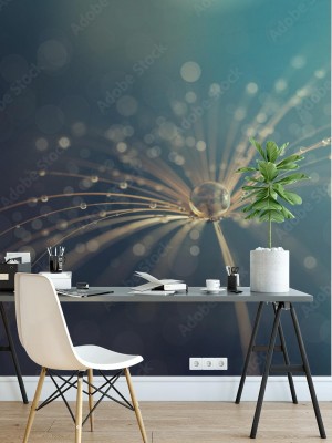 Fototapeta Krople wody na Dmuchawcu