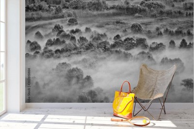 Fototapeta Mglisty las (fotografia czarno-biała)