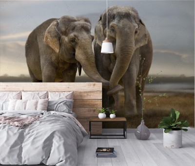 Fototapeta Słonie trzymające się za trąby