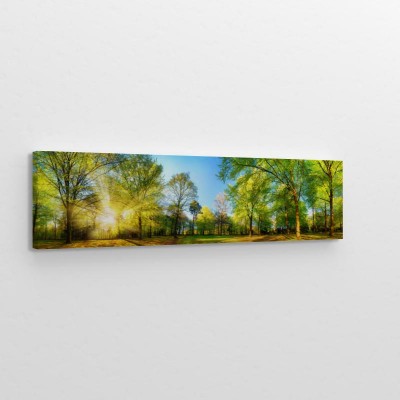 Obrazy do salonu Panoramiczna wiosenna sceneria ze słońcem pięknie oświetlającym świeże zielone liście