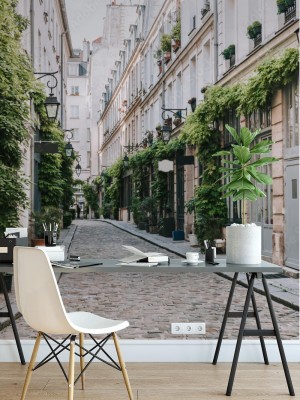 Fototapeta Przytulna uliczka w Paryżu