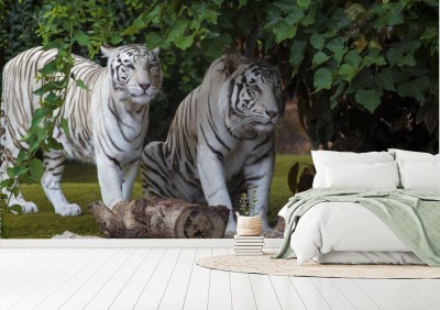 bialy-tygrys-pod-zielonymi-liscmi
