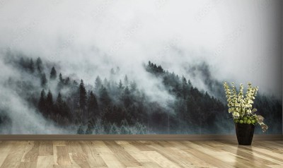 Fototapeta z panoramicznym motywem lasu spowitego mgłą