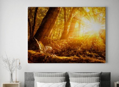 Obraz na płótnie Leśna sceneria jesiennego poranka