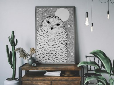 biala-sowa-polarna