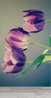 Fototapeta efekt retro tulipany