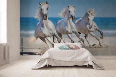 Fototapeta Konie w kłusie na plaży