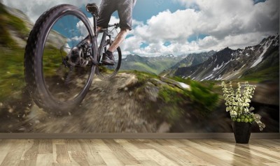 Fototapeta Panorama - Rower górski na stoku