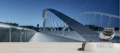 Fototapeta Panoramiczny widok na most Schumana nocą