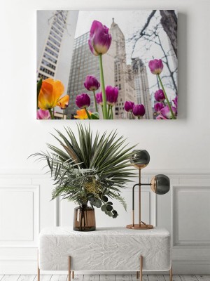 Obraz na płótnie Tulipany na miasta tle
