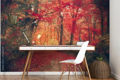 Fototapeta Magiczny las z jesiennymi kolorami i czerwonymi liśćmi