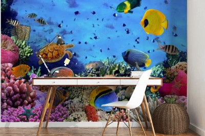 Fototapeta Podwodny świat