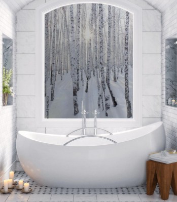 Naklejka na okno łazienkowe Brzozy w zimie