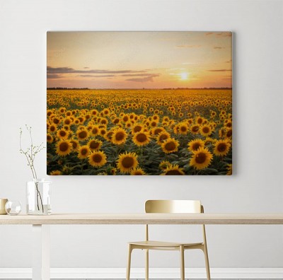 Obraz na płótnie Horyzont ze słoneczników