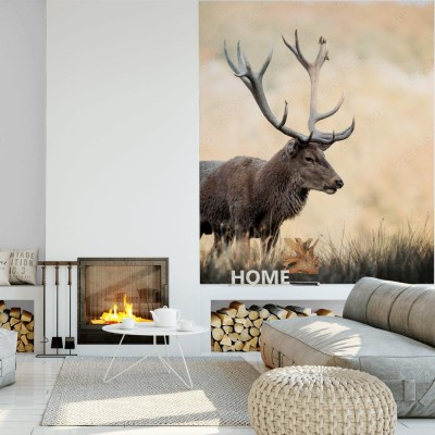 Fototapeta Byk Jelenia - Król puszczy