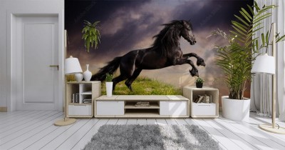 Fototapeta Galopujący koń fryzyjski