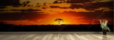 Fototapeta Panorama zachodzącego słońca na sawannie