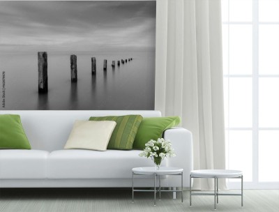 Fototapeta Pilmore Groynes w czarno-białym ujęciu