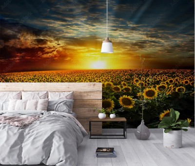 Fototapeta Słonecznik na tle zachodzącego słońca