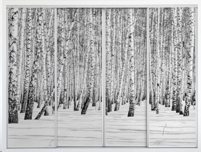 Naklejka na szafę Czarno-biały brzozowy las w zimowym krajobrazie