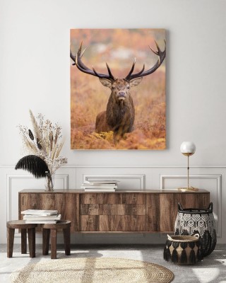 Obraz na płótnie Duży jeleń na wprost