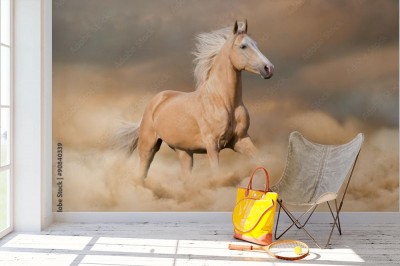 Fototapeta Koń z blond grzywą