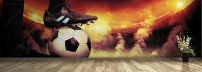 Fototapeta Protest piłki nożnej