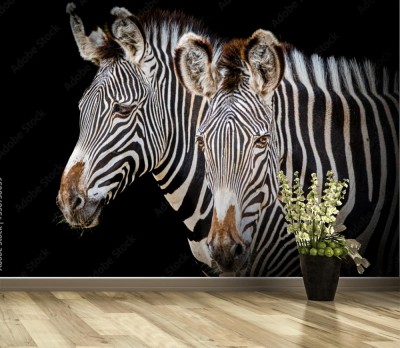 Fototapeta Artystyczny portret zebry