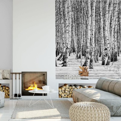 Fototapeta Czarno-biały krajobraz przedstawiający brzozowy las zimą