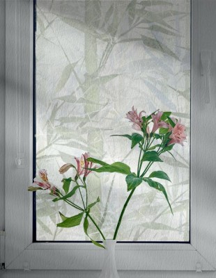 Naklejka na okno łazienkowe Bambusowy las we mgle