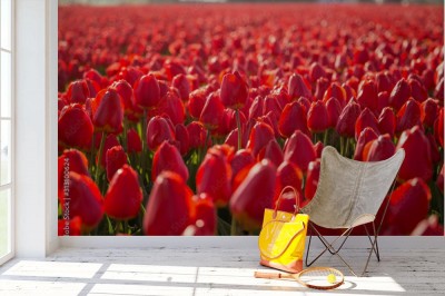 Fototapeta Armia czerwonych tulipanów
