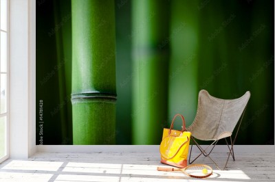 Fototapeta Bambusowy zen