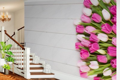 Fototapeta Różowy tulipan na białym tle