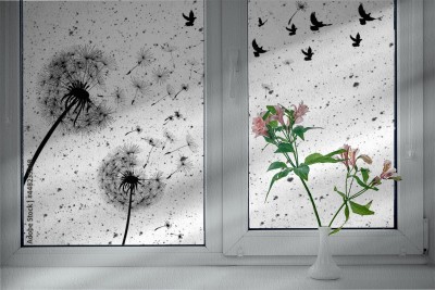 Folia na okno łazienkowe Dmuchawce z ptakami na wietrze