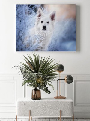 Obraz na płótnie Biały owczarek w zimie