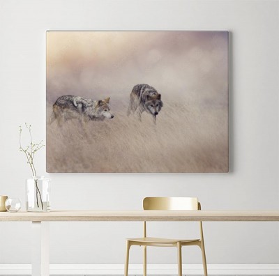 Obraz na płótnie Dwa wilki w wysokiej trawie