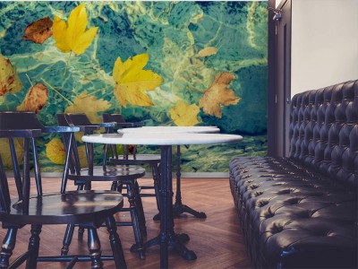 Fototapeta Jesienne żółte liście w wodzie