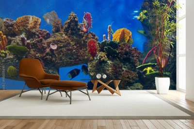 Fototapeta Panorama podwodnego krajobrazu morskiego