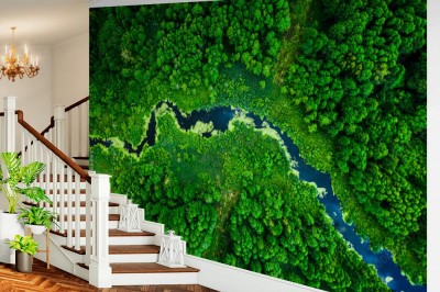 Fototapeta Rzeka widziana z lotu ptaka