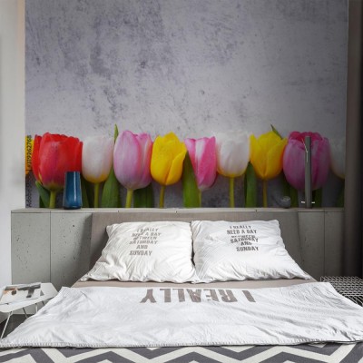 Fototapeta Wielobarwne tulipany na betonowej ścianie