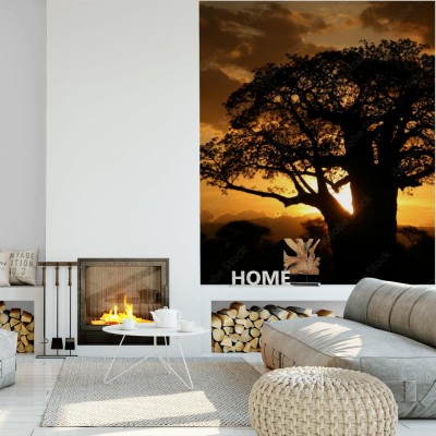 Fototapeta African Sunset  Tanzania, Afryka