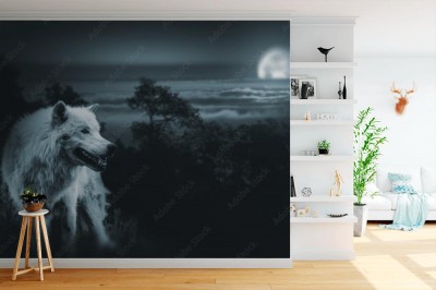 Fototapeta Biały wilk przy pełni księżyca
