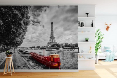 Fototapeta fotolia-96836193-subscription-monthly-xxl