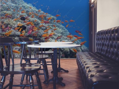 Fototapeta Rafa koralowa z rybami Anthias w tropikalnym morzu