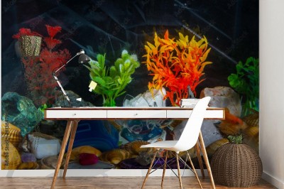 Fototapeta Akwarium z rybami