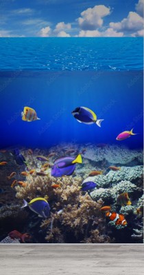 Fototapeta Podwodna scena z tropikalną ryba