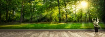 Fototapeta Zielona leśna panorama w  środku lata